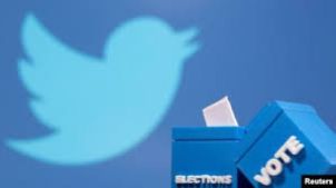 Jangan Biarkan Polling Twitter-mu Sepi! 7 Alasan Jasa Vote Bisa Jadi Senjata Rahasiamu!