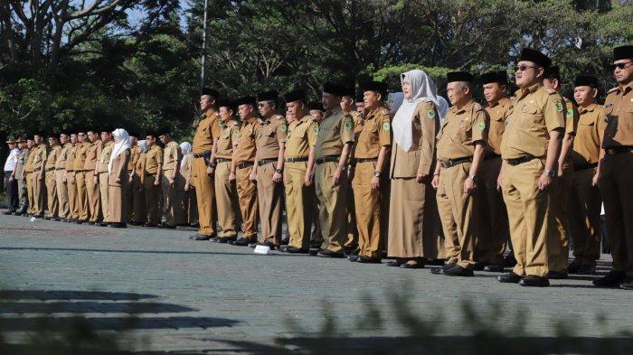 Formasi CPNS 2025: Tips Memilih Instansi dengan Peluang Lolos Tinggi