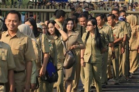 Kenali Dirimu! Trik Efisien Identifikasi Kelemahan dari Tryout CPNS di Tryout.id