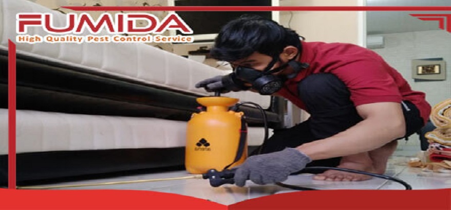 Jasa Anti Rayap Fumida Solusi Tepat Untuk Membasmi Rayap Pada Bangunan Anda