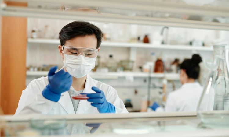 Daya Tampung dan Passing Grade Fakultas Farmasi Universitas Sumatera Utara 2026
